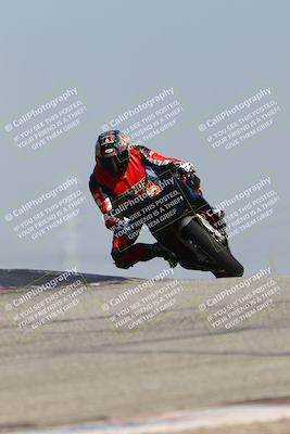 media/Mar-24-2025-2WTD (Mon) [[55b4b08488]]/A Group/11am (Outside Grapevine)/